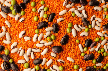 Wall Mural - Collection set of various dried legumes laid out as a background for an inscription, chaotic order: green peas, red beans, white beans close-up on a white background. Selective focus