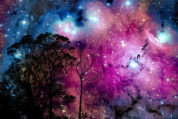 blur nebula galaxy back on night cloud sunset sky silhouette branch and tree