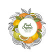© Maria - Fresh citrus design template. Engraved style illustration. Orange, flowers, lemon, tangerine. Vector illustration