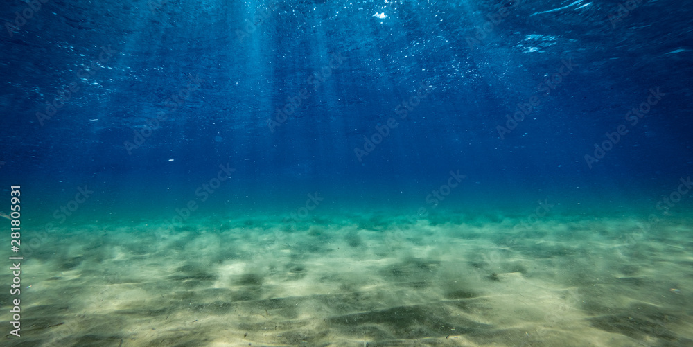 1000_F_281805931_5qMXybWpDgMLF