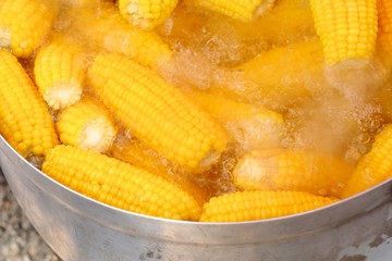 Wall Mural - Boiled corn at the market