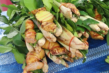 Sticker - Lemongrass and galangal at the market