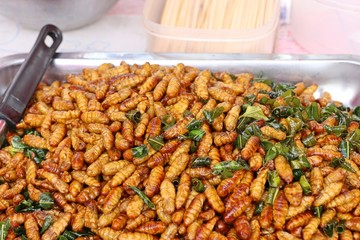 Canvas Print - Fried insect at street food