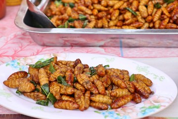 Canvas Print - Fried insect at street food