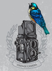 Wall Mural - bird camera