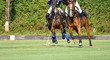 Selective focus the Horse polo players are competing in the polo field.