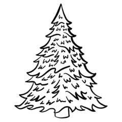 Hand drawn vector illustration of a fir-tree. black, white, isolated, outline, doodle.