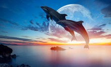 Silhoutte Of Beautiful Dolphin Jumping Up From The Sea At Sunset With Super Moon "Elements Of This Image Furnished By NASA "