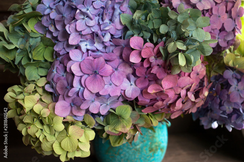Fotomural Bouquet of colored hydrangea in a vase, fragment, close-up.