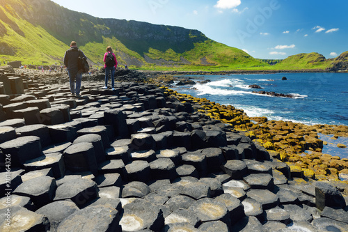 Fotomural Giants Causeway, an area of hexagonal basalt stones, County Antrim, Northern Ireland