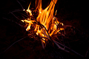 fire from the branches burned in the forest