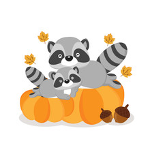 Cute Raccoons On Pumkins In Autumn.