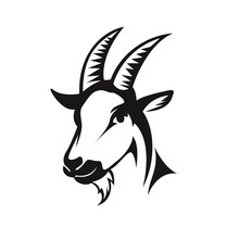 Head Goat Front View Drawing Art Logo Design Inspiration