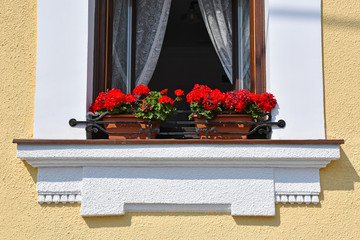 Flowers in the window of an old house