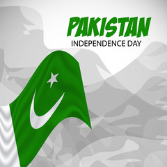 Canvas Print - Pakistan Independence Day