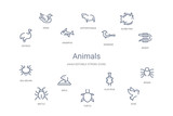 Fototapeta Młodzieżowe - animals concept 14 outline icons