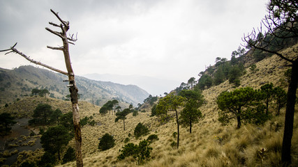 Moody Mountain view at the Ajusco volcano