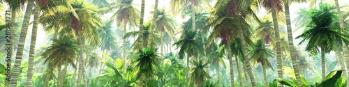 jungle-in-the-morning-in-the-fog-palm-trees-in-the-haze-3d-rendering
