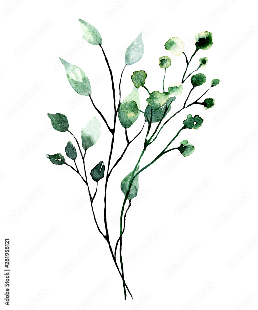 Watercolor branch with green leaves. Hand painting floral illustration. Leaf, plant isolated on white background.  - obrazy, fototapety, plakaty 
