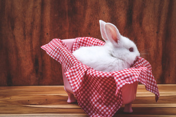 Wall Mural - A white rabbit sitting on a red cloth behind the brown wood.