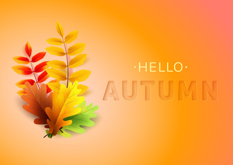 Wall Mural - Autumn text greeting in banner design with colorful leaves on orange background. 3D text with stamping.Vector illustration