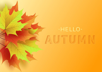 Wall Mural - Autumn text greeting in banner design with colorful leaves on orange background. 3D text with stamping.Vector illustration