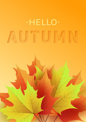 Wall Mural - Autumn text greeting in banner design with colorful leaves on orange background. 3D text with stamping.Vector illustration