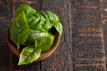 Wall Mural - Fresh Green Basil Leaves on a Wooden Table