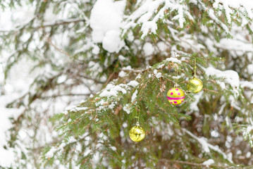 Christmas tree in the forest in the snow with Christmas balls