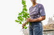 © Jacquelin - Woman Holding Key Lime Plant