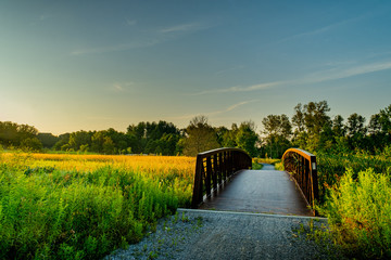 beautiful morning at Rogers Reservoir Conservation Area East Gwillimbury Ontario Canada with grasses, trees, fog, bridge, and river