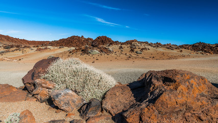 Wall Mural - Orange rocks in the sandy desert