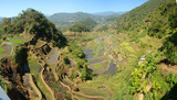 Fototapeta  - Banaue -  a town  in the north of the island of Luzon, in the Philippines.