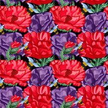 Seamless Pattern Withred And Purple Poppies On Black Background. Collection Decorative Floral Design Elements.Endless Pattern With Red Poppy Flower.