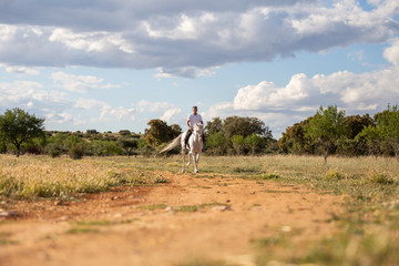 Young guy in casual outfit riding white horse on sandy road