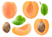 Isolated Apricots Collection. Whole And Cut Apricot Fruits, Leaves And Kernel Isolated On White Background With Clipping Path