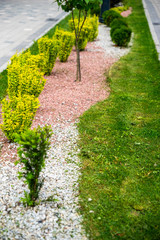 Wall Mural - gravel and stones in the decoration of flower beds in landscape design