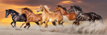 Horse Herd Run Gallop In Desert Dust Against Dramatic Sky