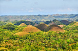 Fototapeta  - The Chocolate Hills  -  geological formation in the Bohol province of the Philippines.