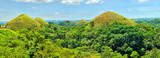 Fototapeta  - The Chocolate Hills  -  geological formation in the Bohol province of the Philippines.