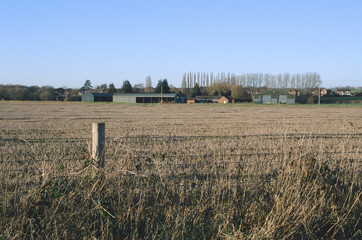 Wall Mural - field agricultural landscape UK