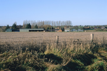 Wall Mural - field agricultural landscape UK