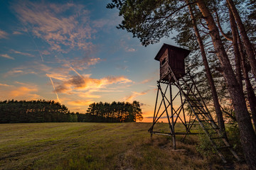 deer stand (tree stand) beside field and forest at sunset light, czech republic