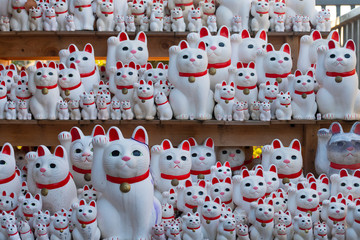 Lucky cat on shelf in Gotokuji temple Tokyo Maneki neko Japan culture