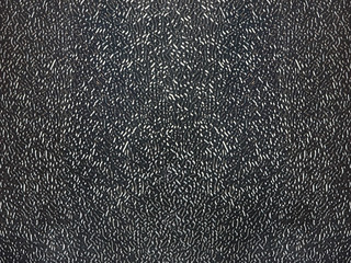 black leather background with a fine black and white texture. matt metallic.