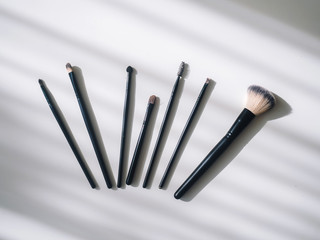 Top view closeup of various professional female cosmetics brushes for makeup . Cosmetic brush.