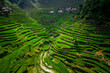 © R.M. Nunes - Aerial View of Batad Rice Terraces, Ifugao Province, Luzon Island, Philippines