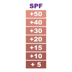Poster - Spf scale icon. Cartoon of spf scale vector icon for web design isolated on white background