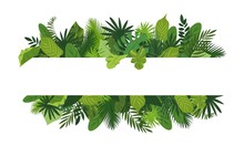 Tropical Leafs Concept Banner. Cartoon Illustration Of Tropical Leafs Vector Concept Banner For Web Design