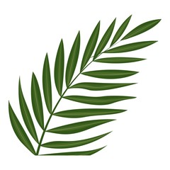 Poster - Fern frond leaf icon. Cartoon of fern frond leaf vector icon for web design isolated on white background